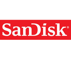 Picture for manufacturer Sandisk