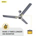 Picture of Atomberg Fan 48 Efficio Plus All Colours + Sowbaghya Iron