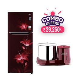 Picture of LG 260 Litres GLN292BRGY Double Door Refrigerator