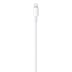 Picture of Apple USB C To Lightning Cable 1M MM0A3ZMA