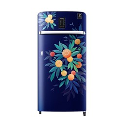 Picture of Samsung 189L Digi-Touch Cool Single Door Refrigerator (RR21C2E25NK)