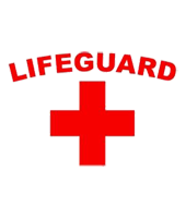 Picture for manufacturer  LifeGuard